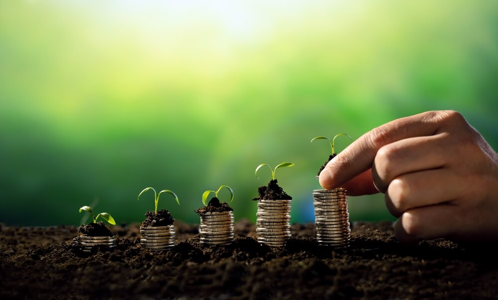 Endowment Insurance with bonus (ekok)