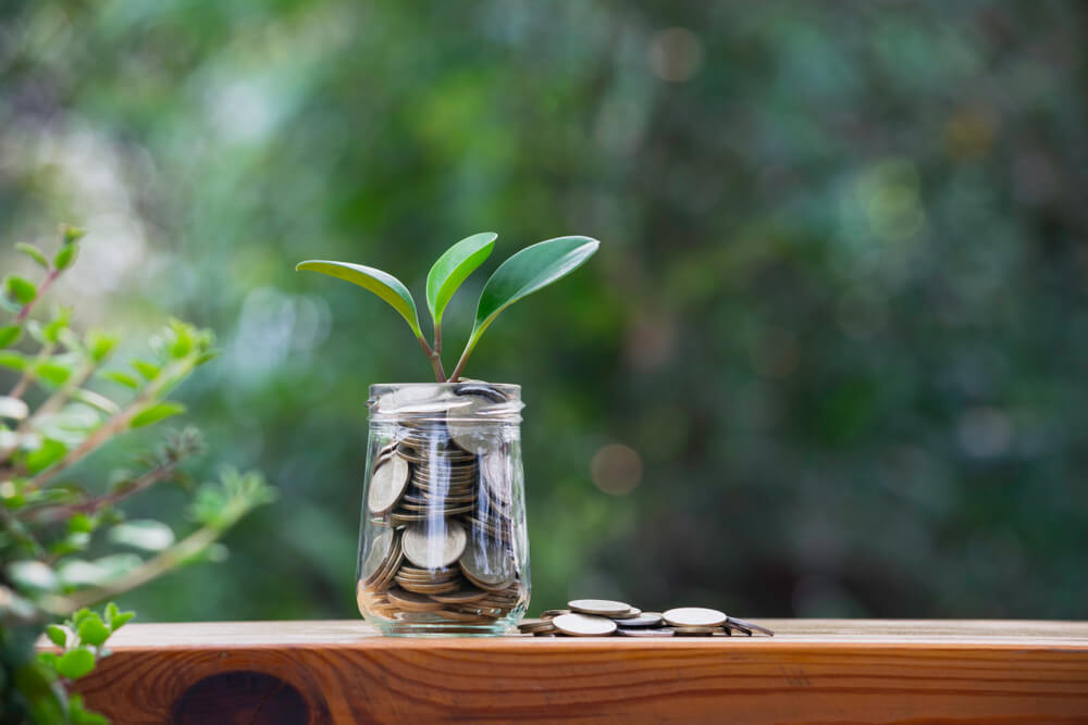 Whole Life Insurance